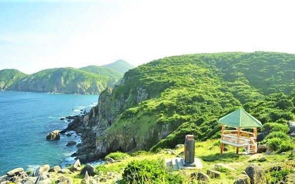 Du lịch Phú Yên thế nào sau cơn sốt “hoa vàng cỏ xanh”? - Anh 2